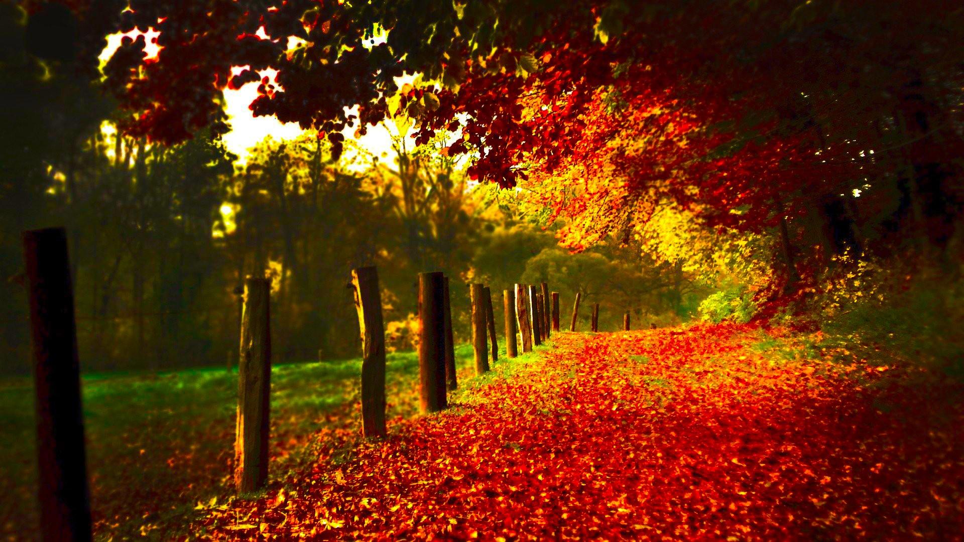 Fall Scenery Wallpaper Free Download