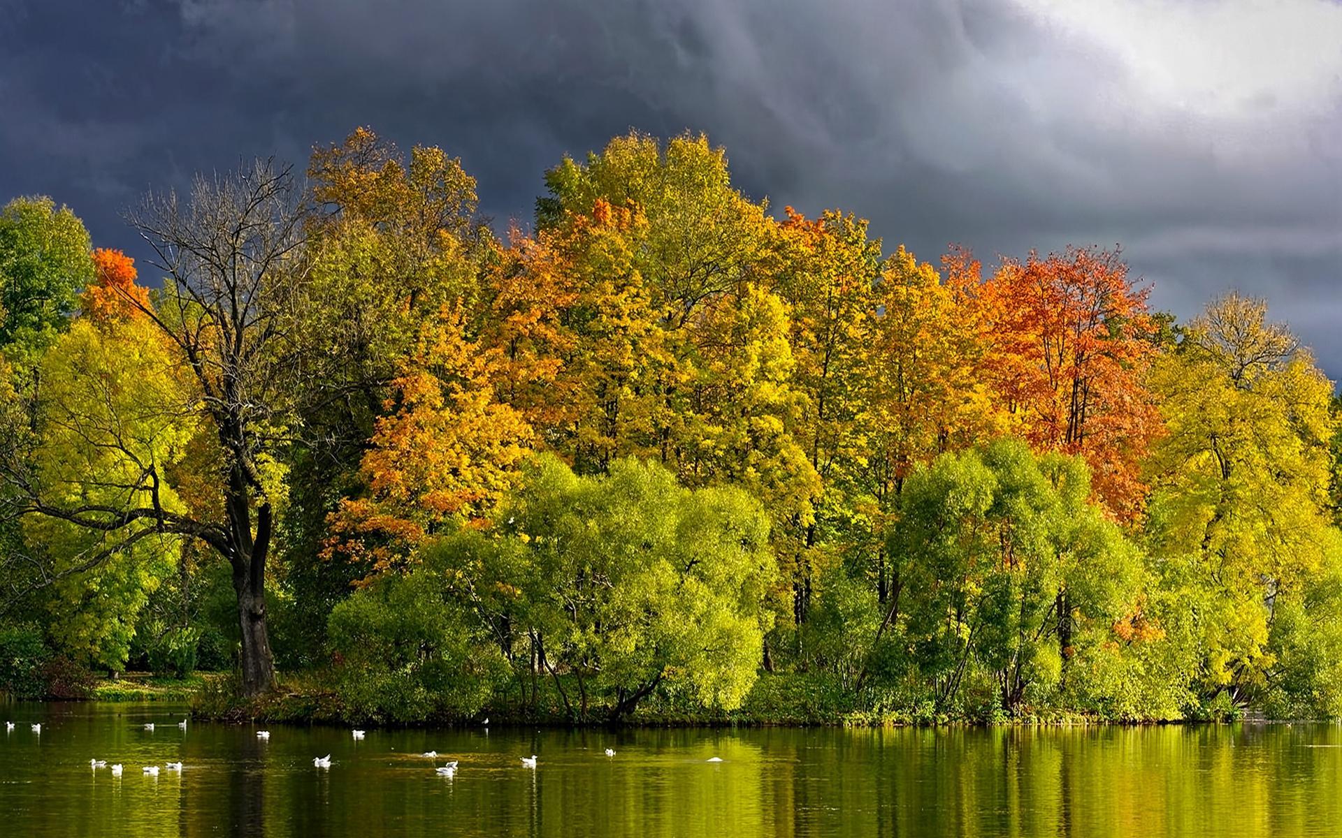 view, lake, grass, leaves, autumn splendor, beautiful, water