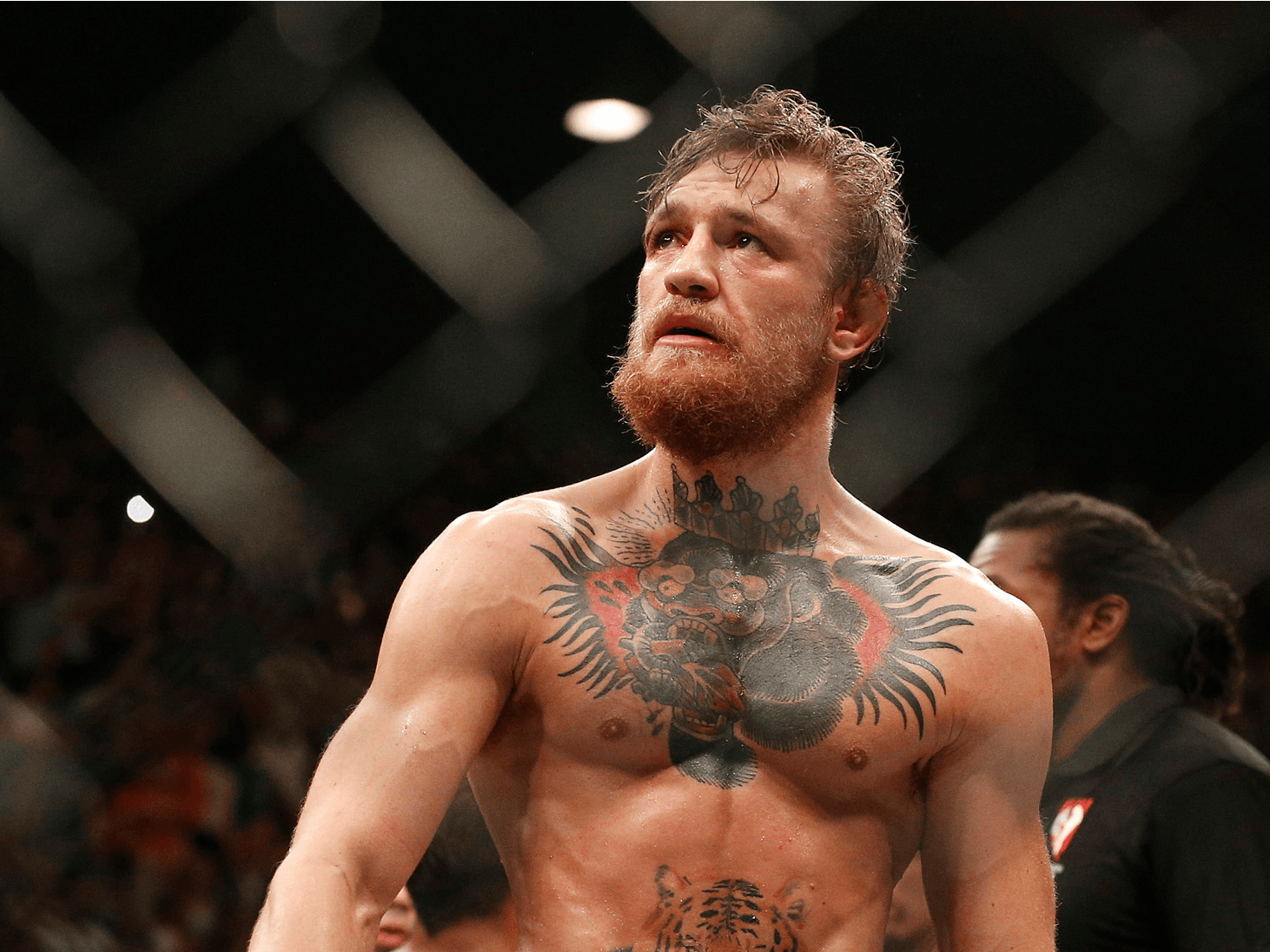 Conor McGregor Full HD Computer Wallpapers - Wallpaper Cave