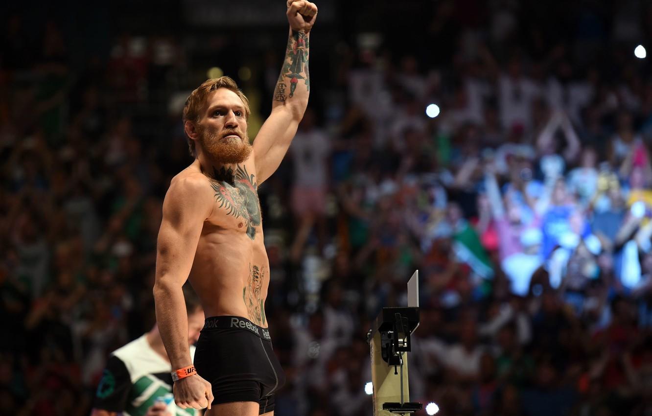 Wallpaper MMA, UFC, Conor McGregor, Conor McGregor image