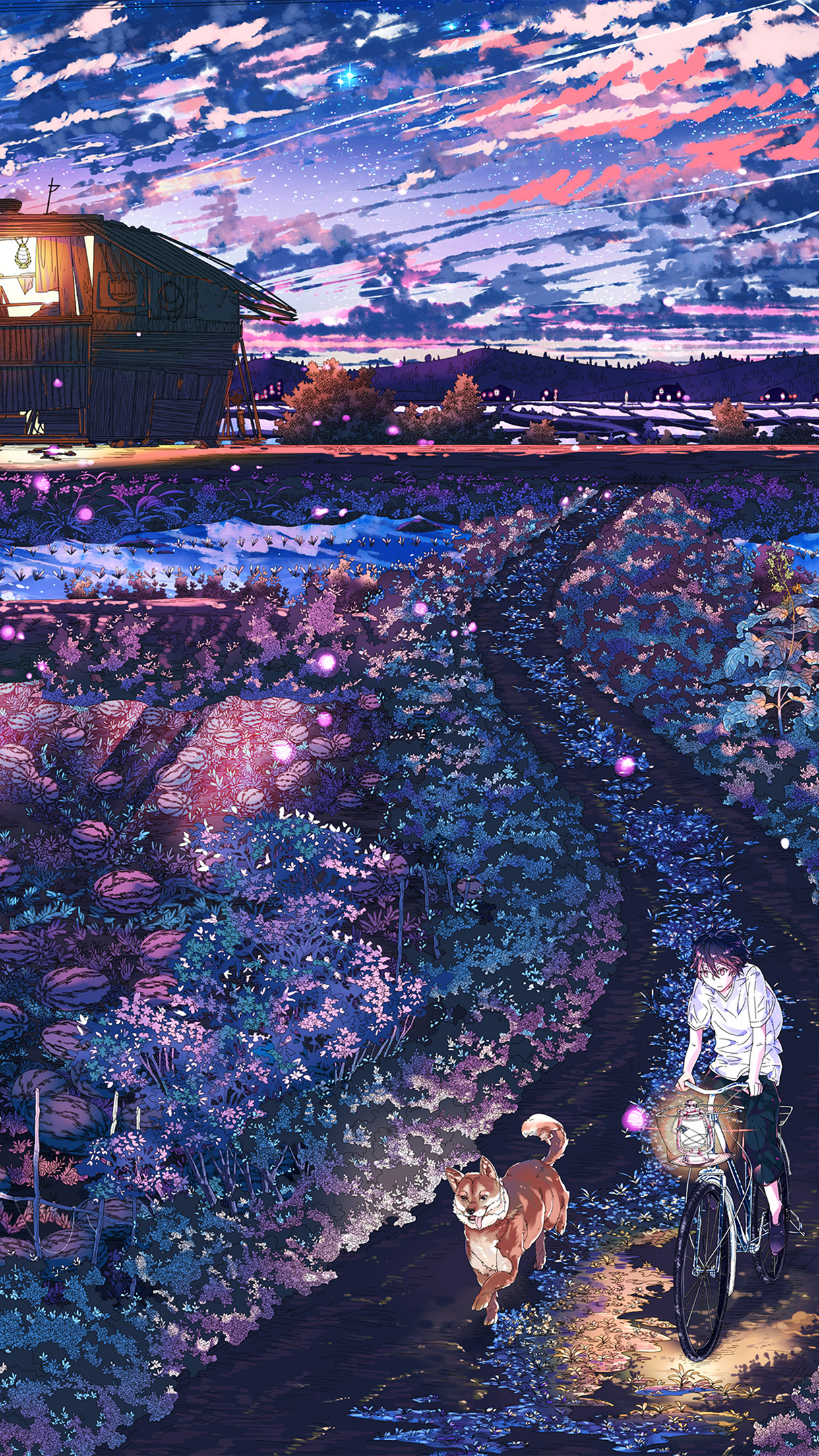 Anime Night Art Sunset Lovely Illustration Android wallpaper HD wallpaper