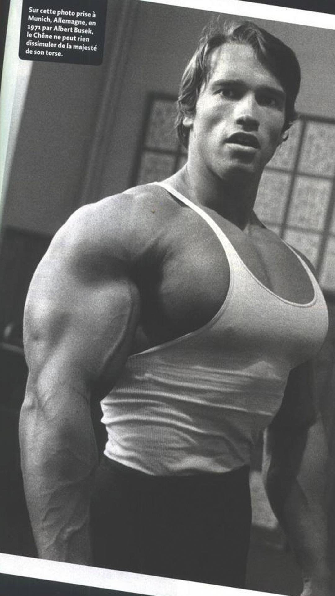 Training Arnold Schwarzenegger Wallpaper for iPhone