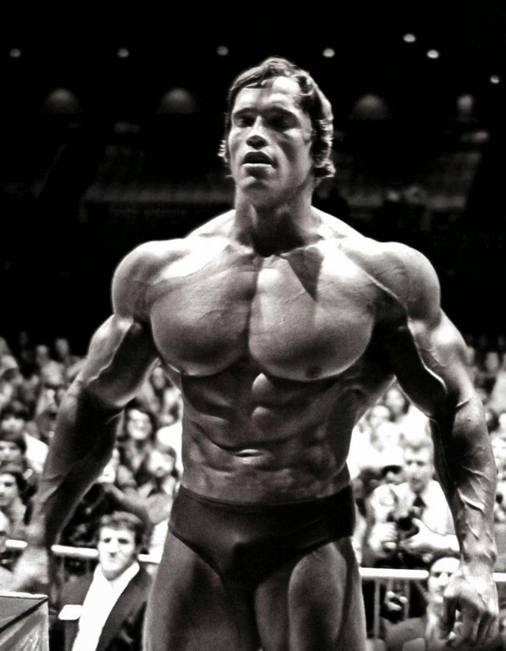 Arnold Schwarzenegger Wallpaper Free Arnold