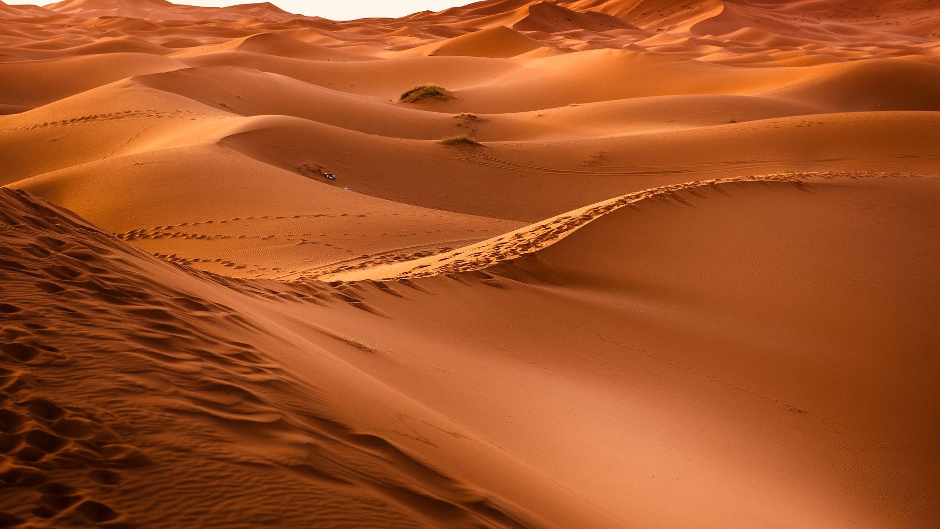 Wallpaper Desert Sand Dune Landscape