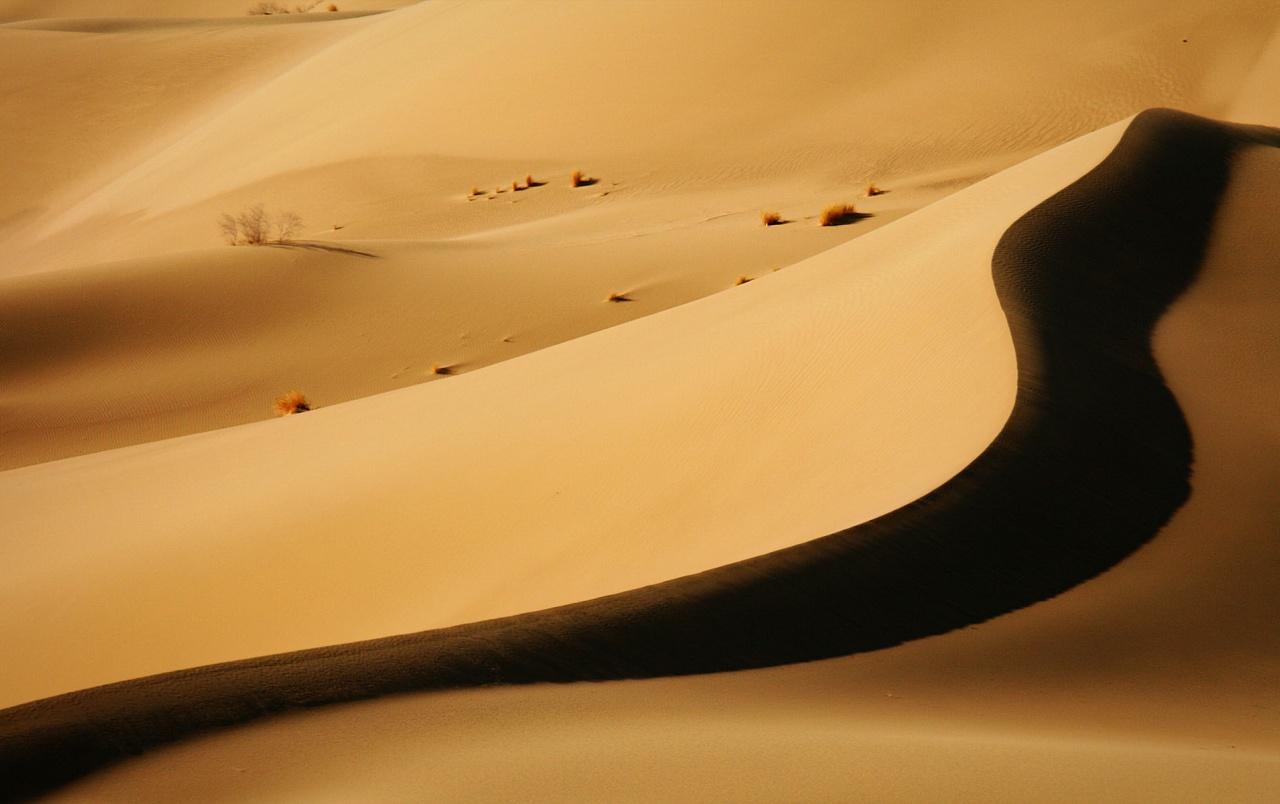 Desert dune wallpaper. Desert dune