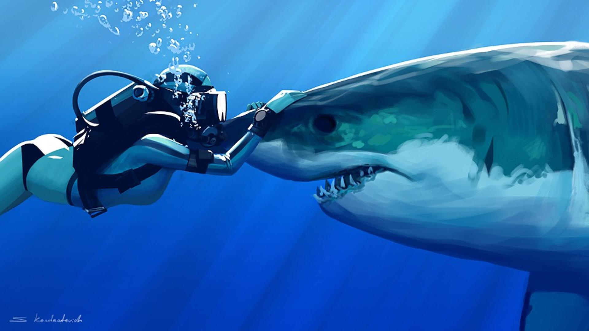 Shark With Diver HD Wallpaper. Wide Screen Wallpaper 1080p