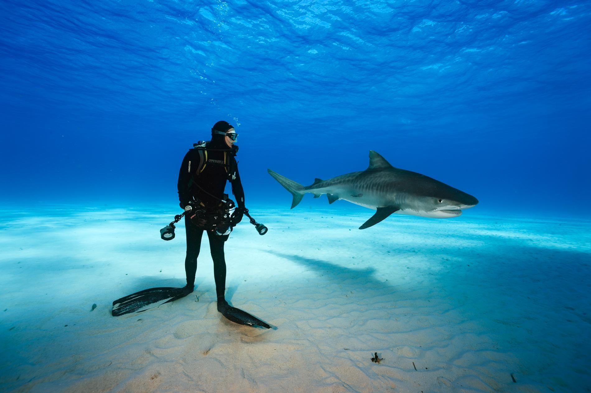Bahamas Diving Wallpaper