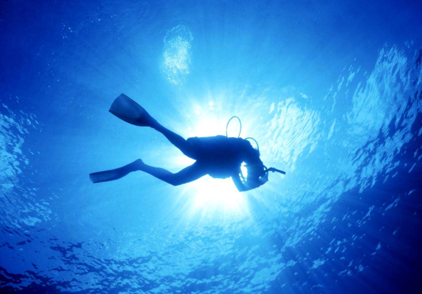 Ocean Diver Underwater Wallpaper HD Desktop
