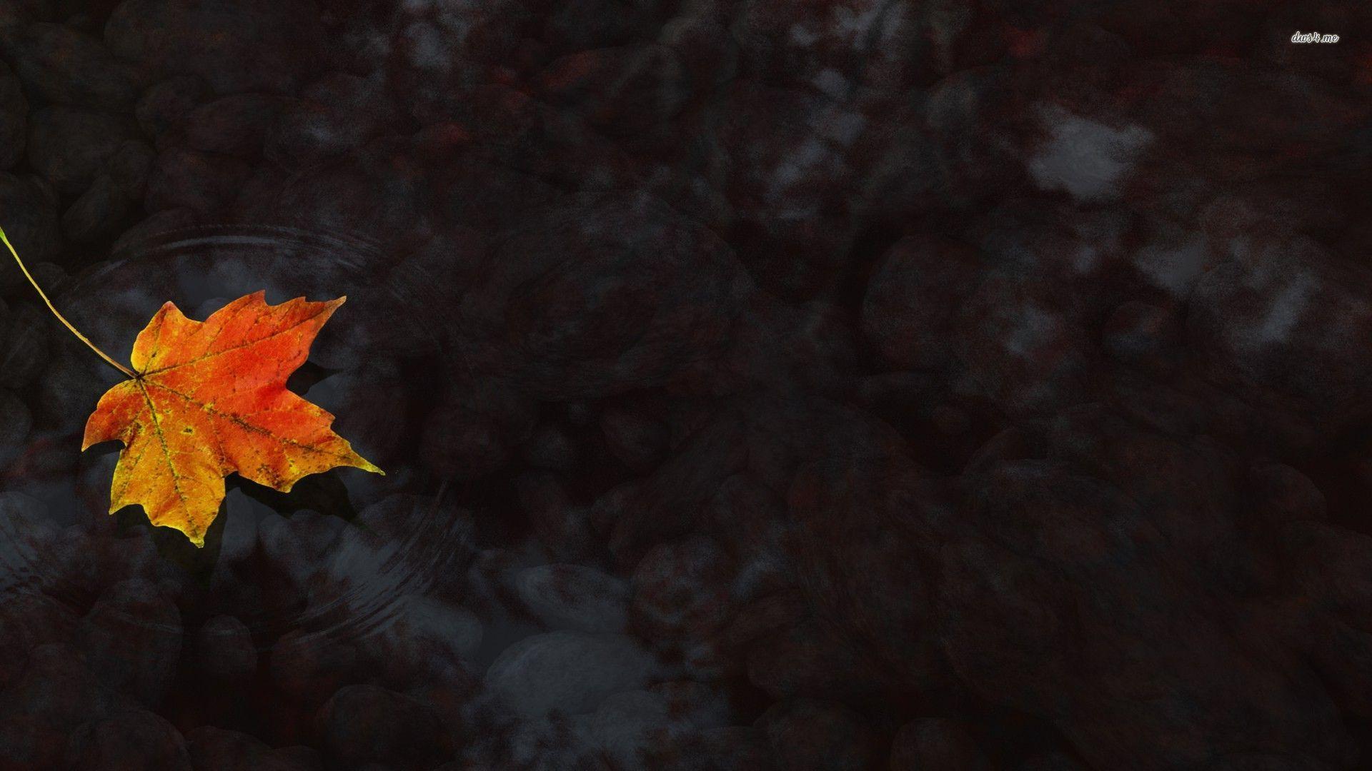 vrbo fallen leaf lake