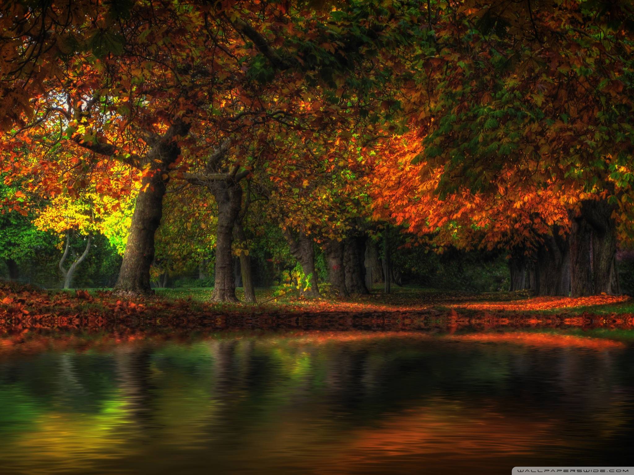 Fallen Leaf Lake Wallpapers - Wallpaper Cave