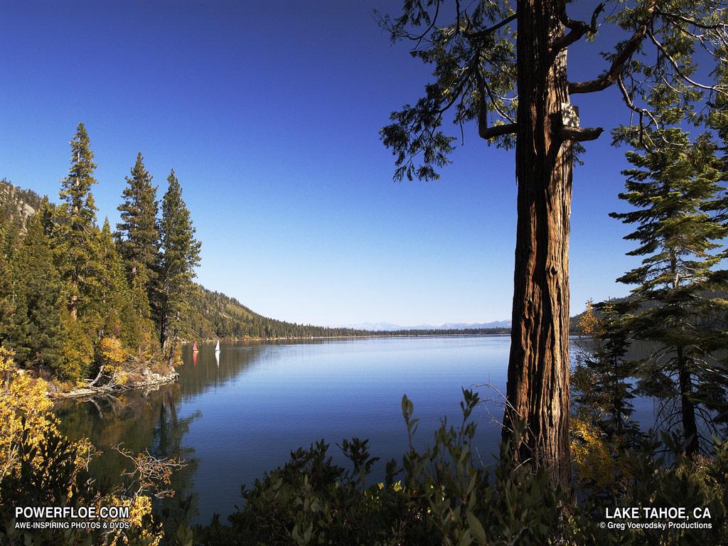 Fallen Leaf Lake Wallpapers - Wallpaper Cave