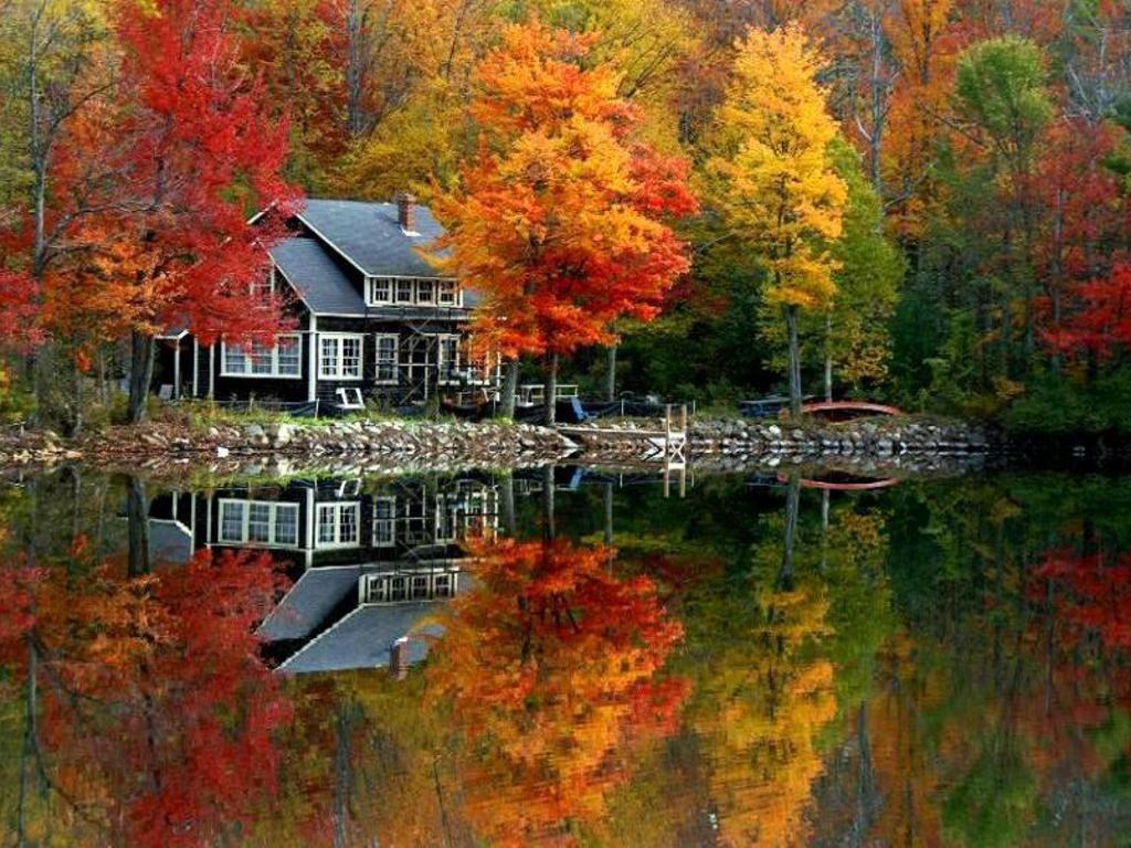 Fall Colors Beautify Modern Houses and Landscape Throughout Bright Season. Lake house, Autumn lake, Autumn scenery