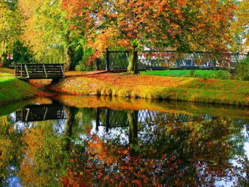 Fall And (1024x768 pixel) Popular HD Wallpaper. Fall desktop background, Fall wallpaper, Free fall wallpaper