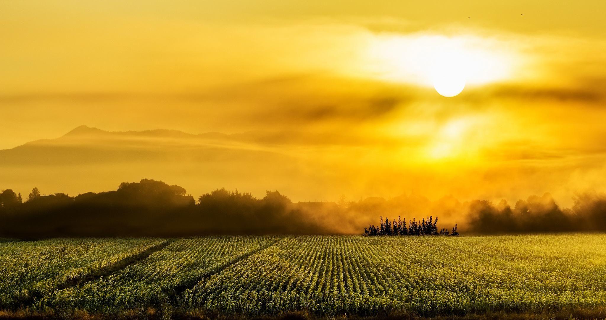 Italy Tuscany sunset wallpaper