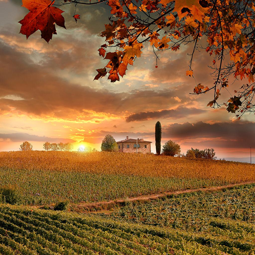 image Tuscany Italy Autumn Nature Fields Sunrises and sunsets
