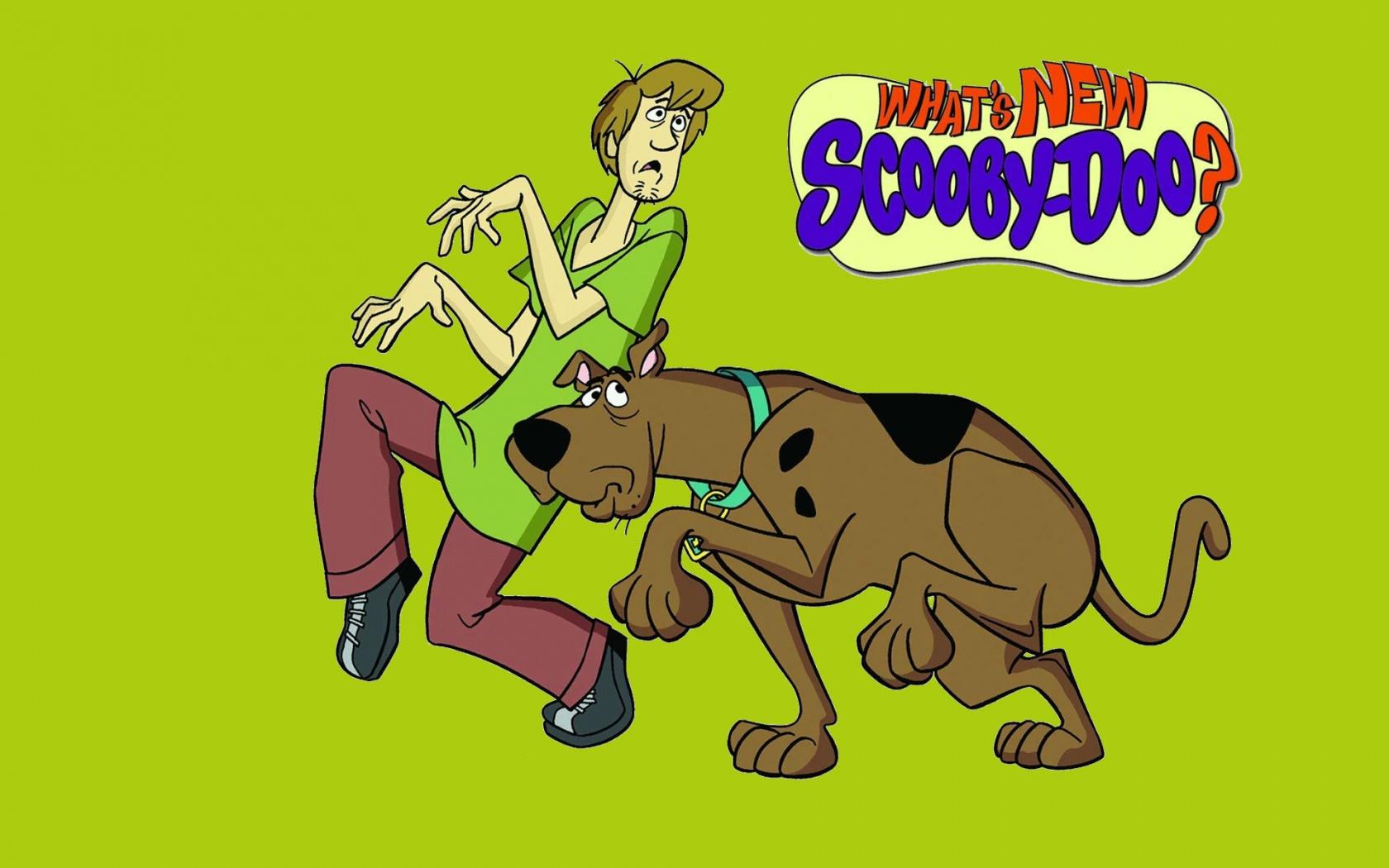 Shaggy Scooby Doo Wallpaper
