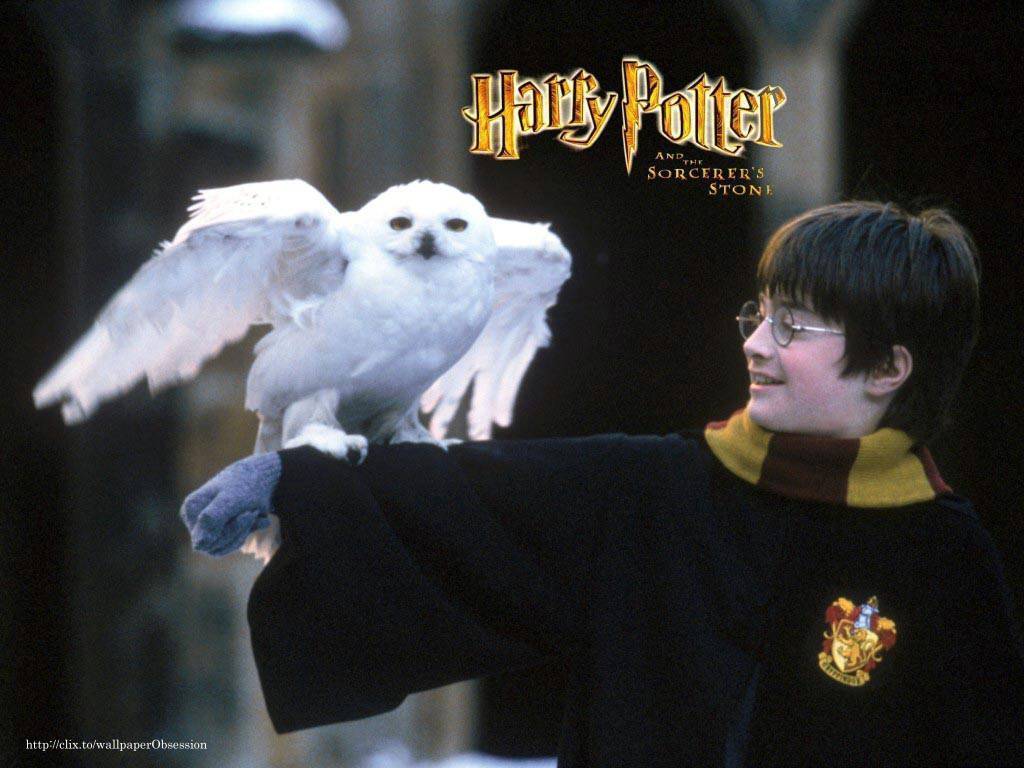 Harry Potter and the Sorcerer's Stone James Potter