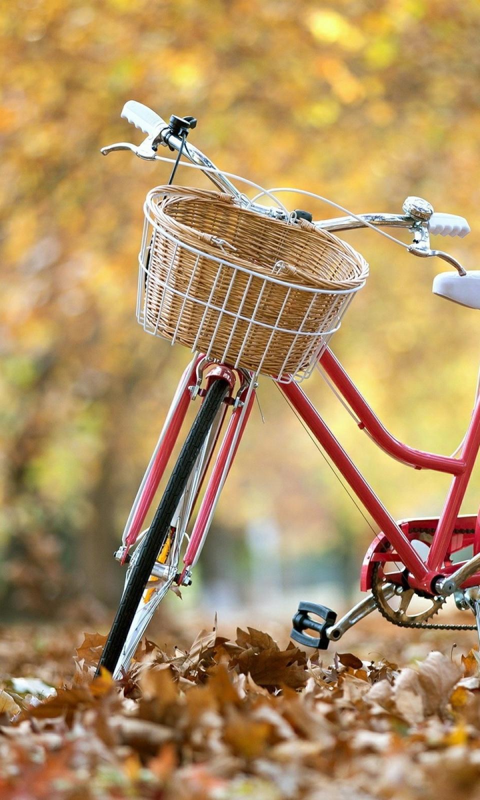 Bicycle Mobile Wallpaper