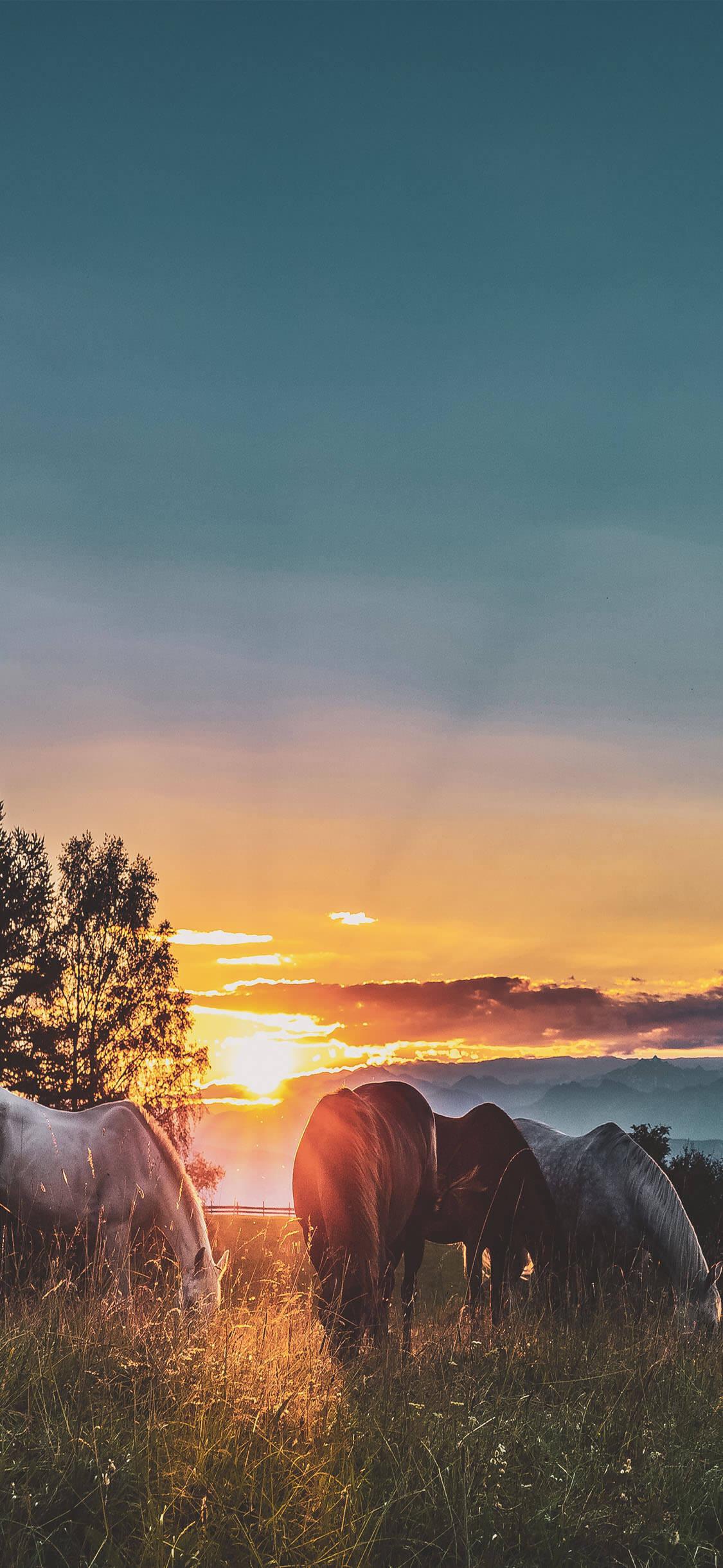 Stunning iPhone XS Wallpaper & Background in HD