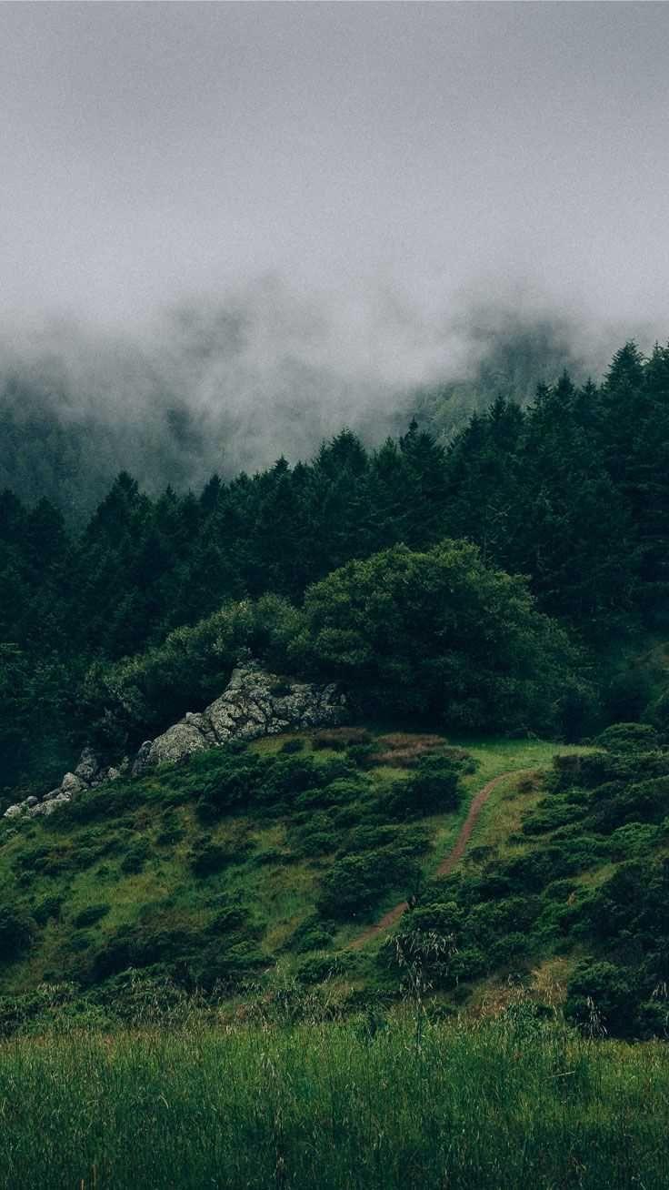 nature wallpaper, nature wallpaper hd, nature wallpaper mobile