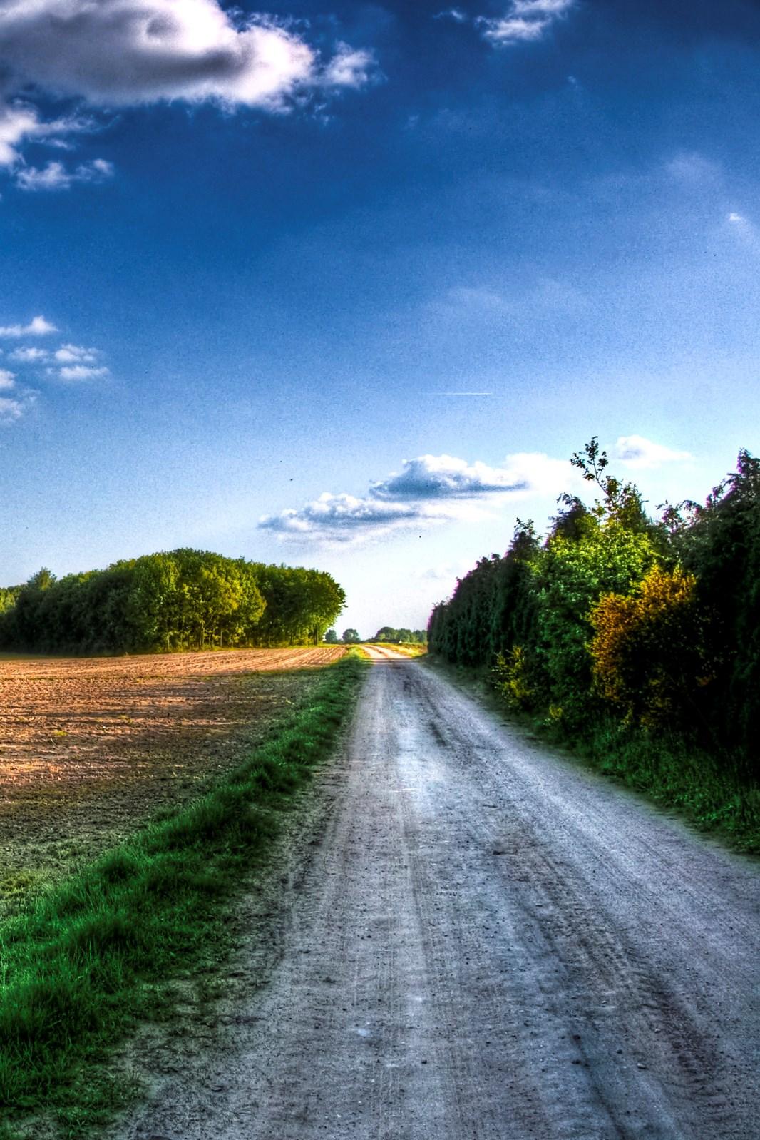 Phone Wallpaper HD Nature Wallpaper For Mobile Free
