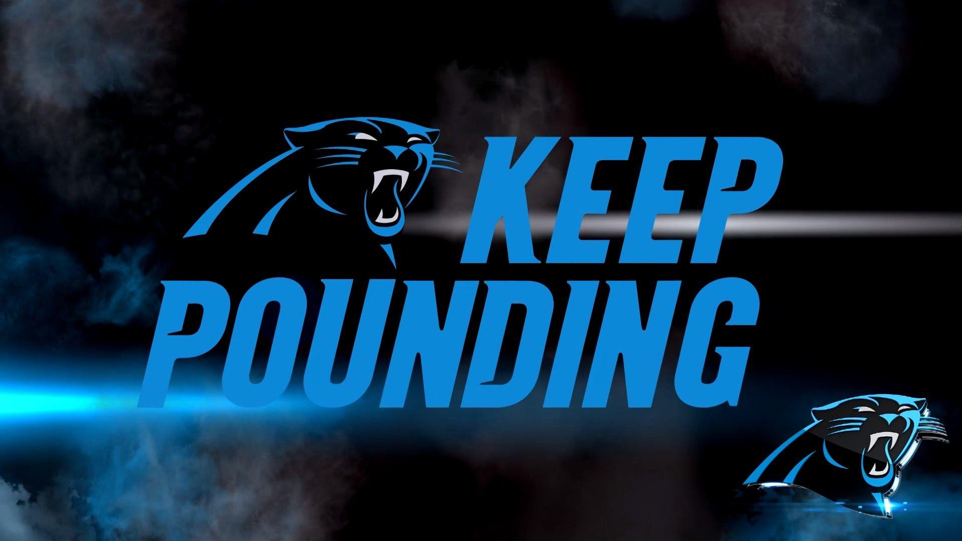 Download Panthers Desktop Wallpaper, HD Background Download