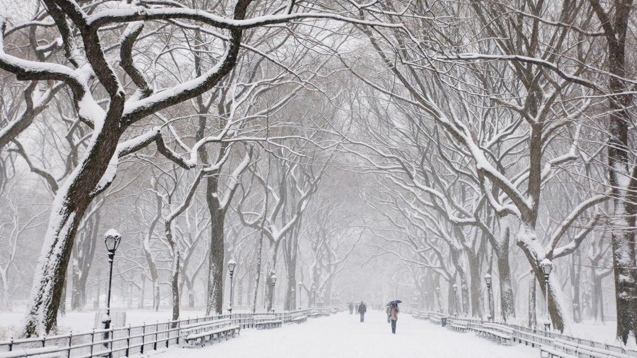 Snow trees Central Park wallpaperx1080