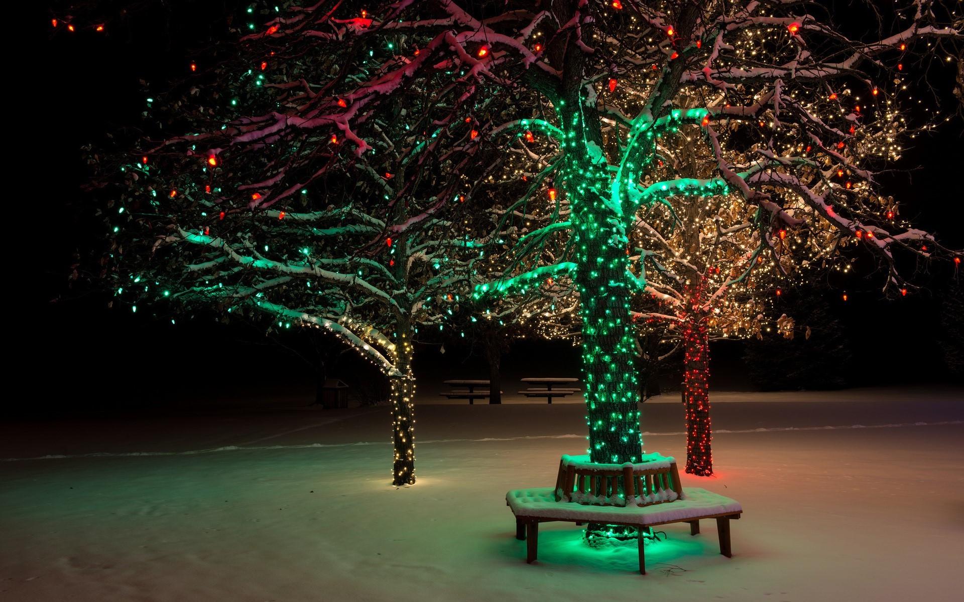 trees, Lights, Christmas, Winter, Snow, Park Wallpaper HD