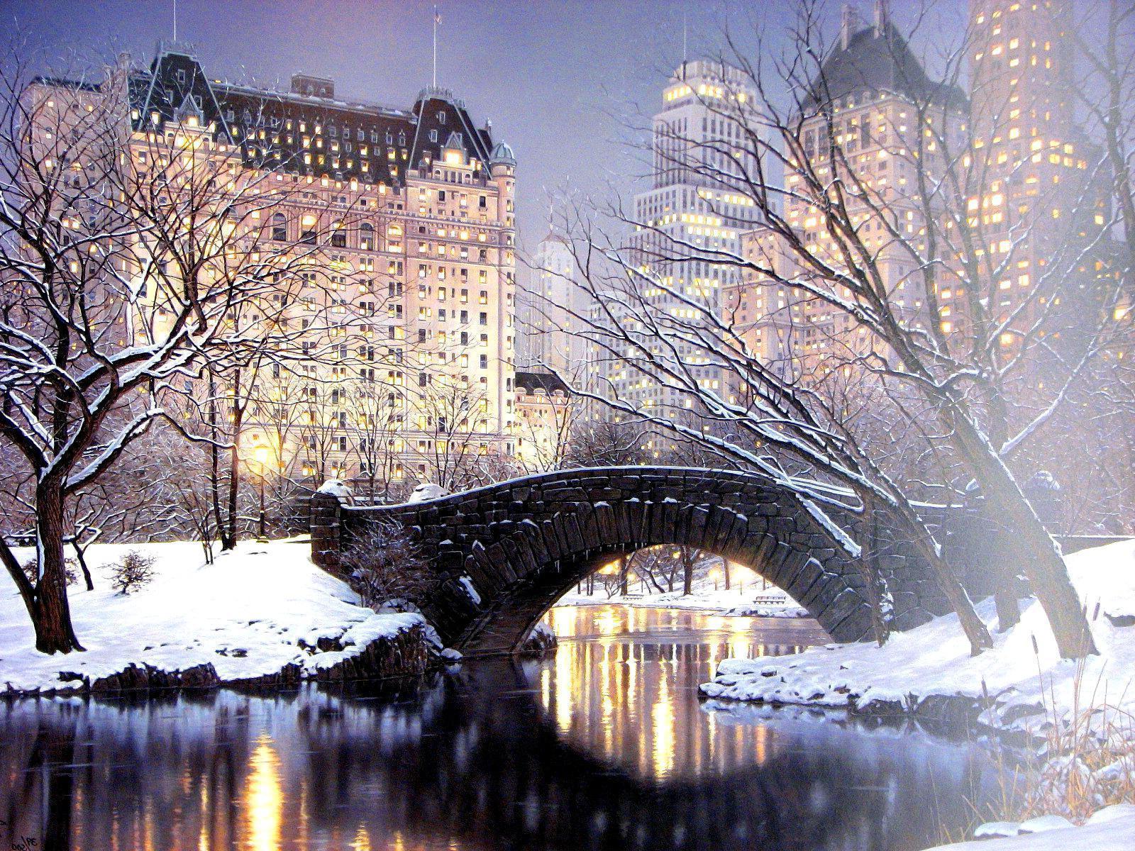 Winter in Central Park New York Wallpaper Free Winter