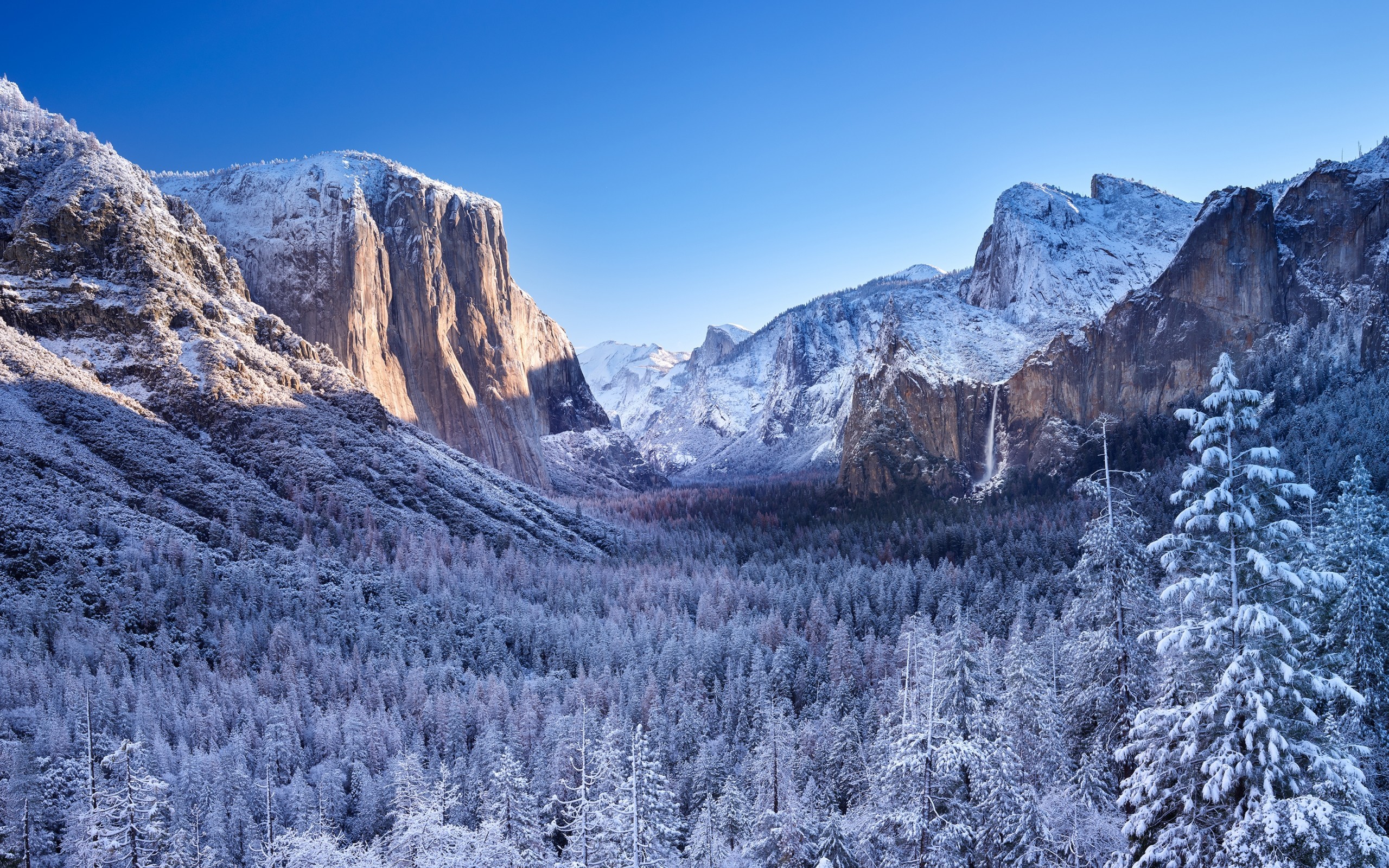 Download 2560x1600 Yosemite National Park, Snow, Trees