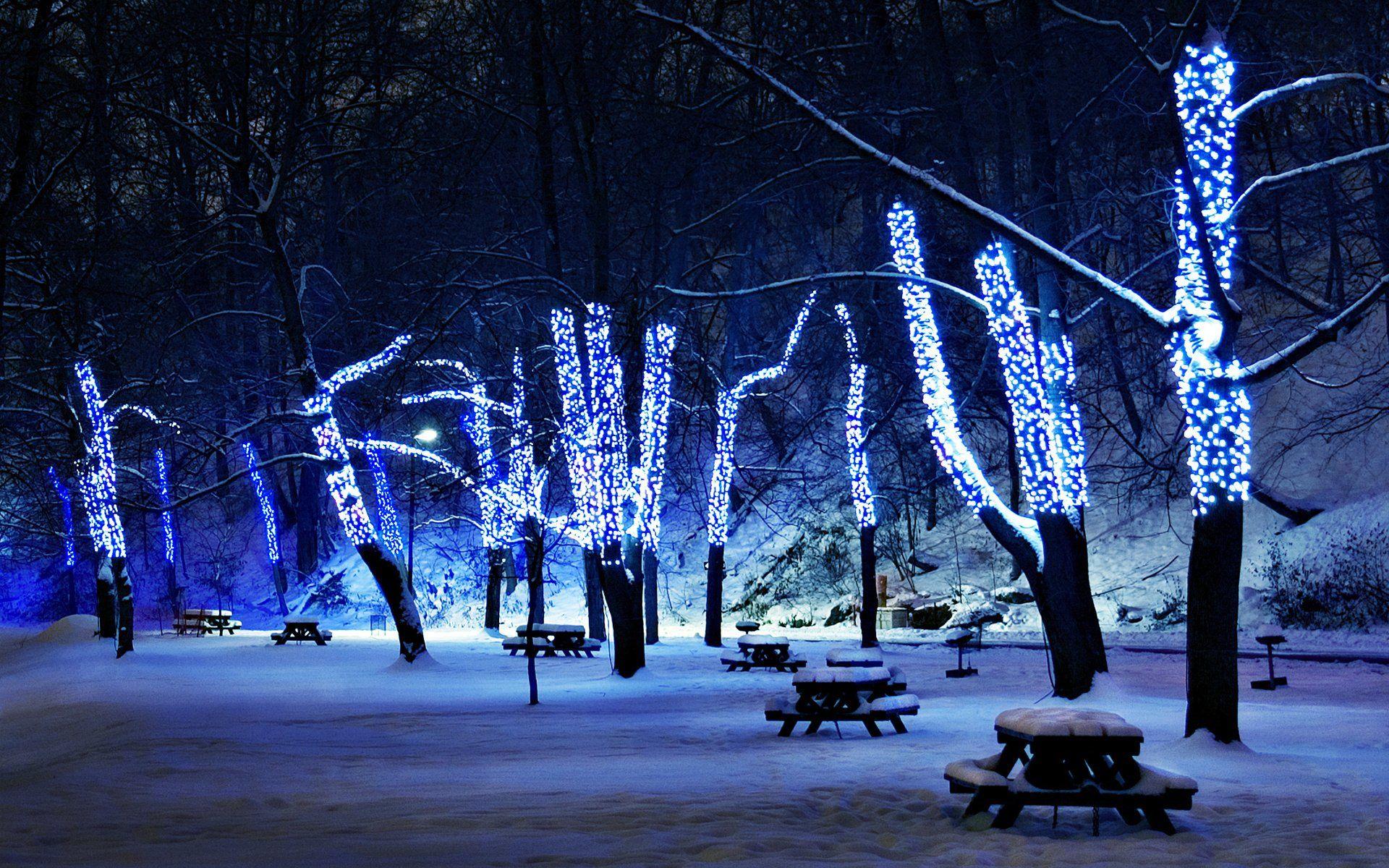 Christmas Tree Lights In Winter Park wallpaper free. Nova