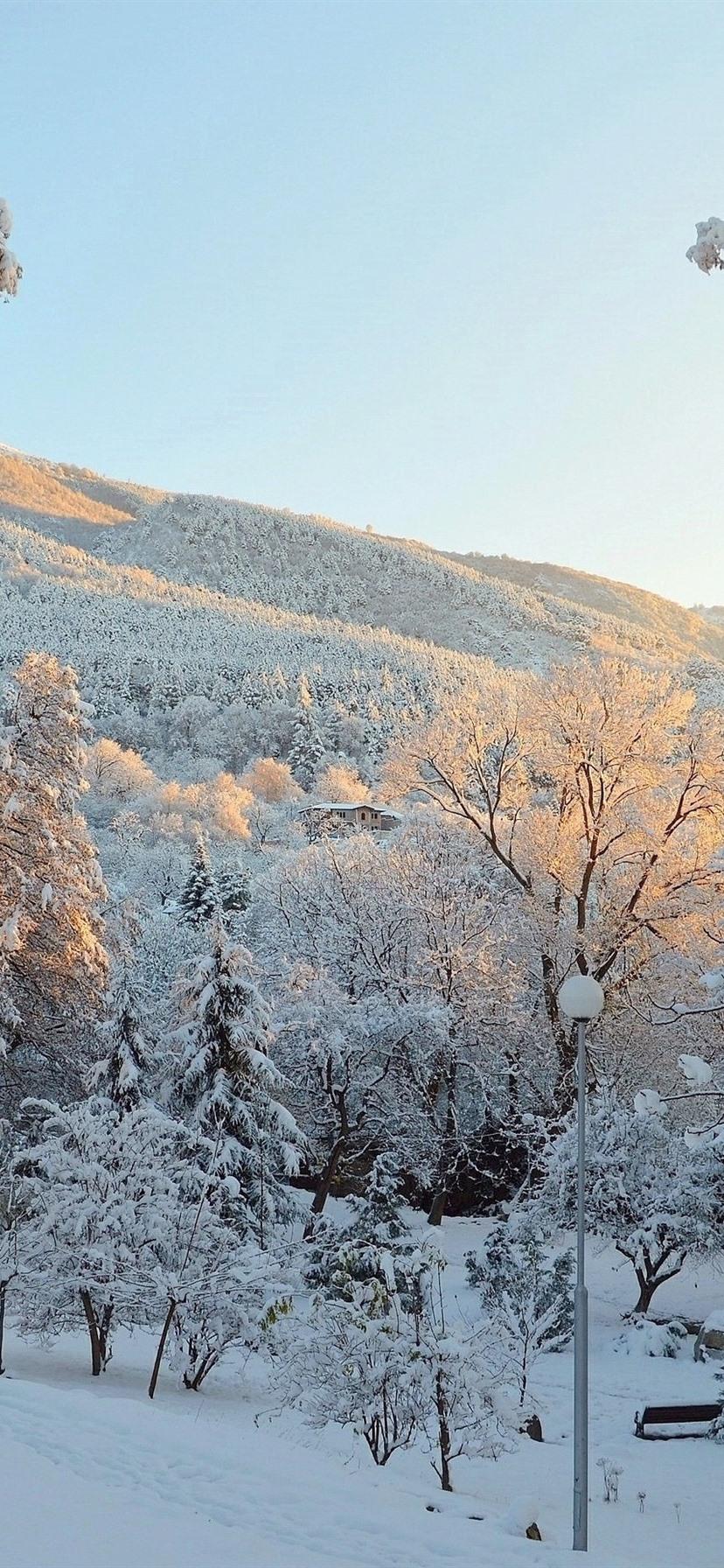 Winter, snow, trees, park 828x1792 iPhone XR wallpaper