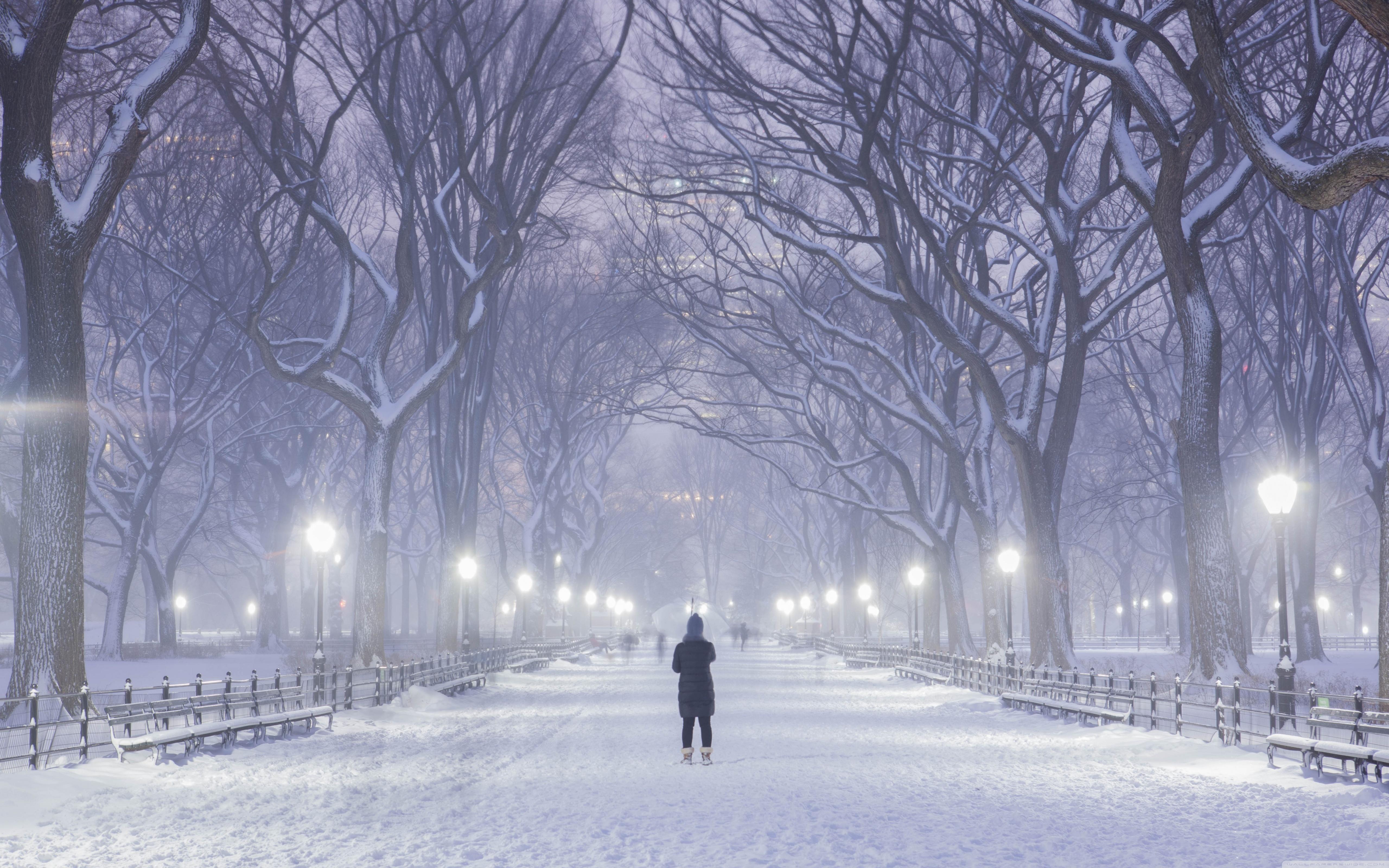 Central Park, New York City, Winter Background ❤ 4K HD