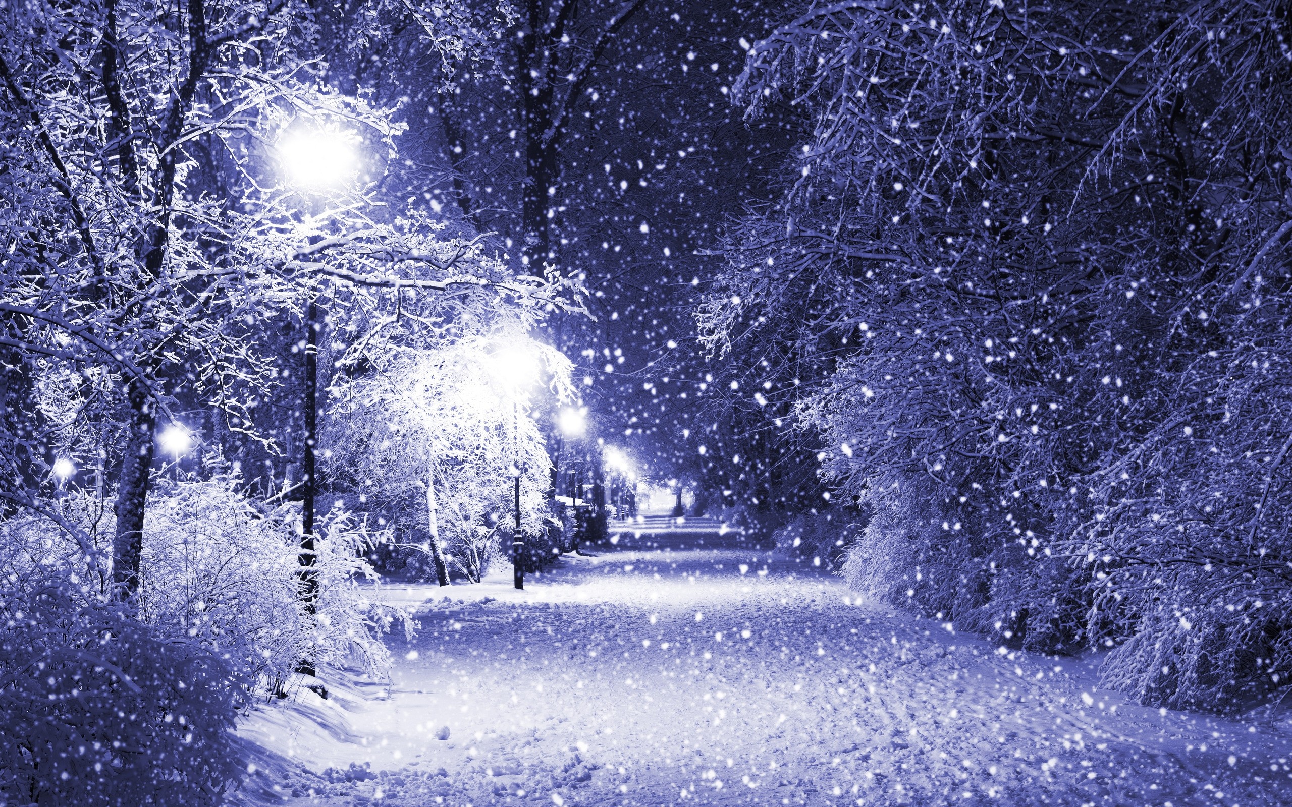 #snow, #park, #winter, #trees, #night, #path