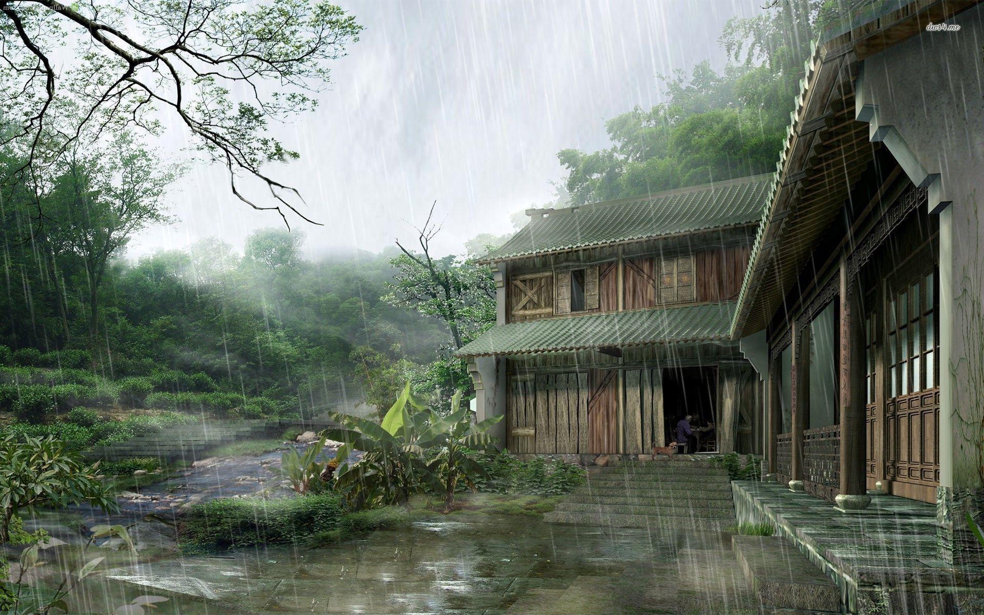 Rainy window HD wallpaper. Dojo, Home art, Live wallpaper