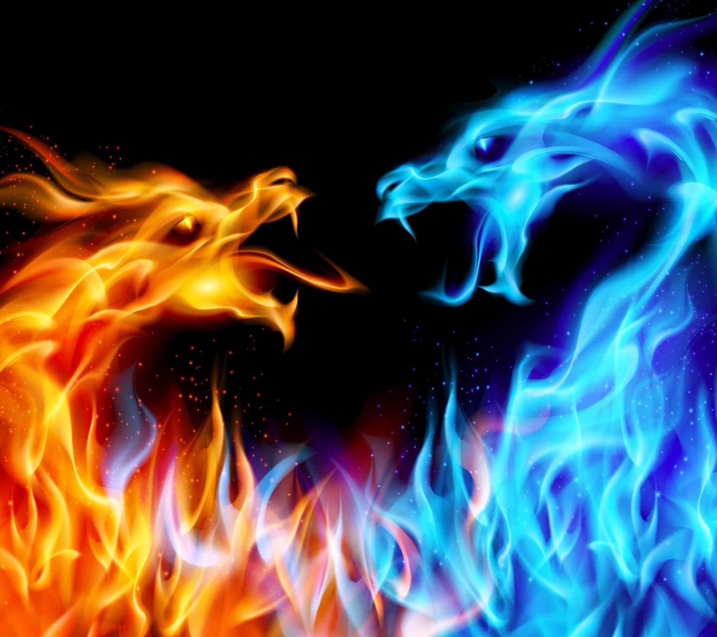Fire dragons Wallpaper