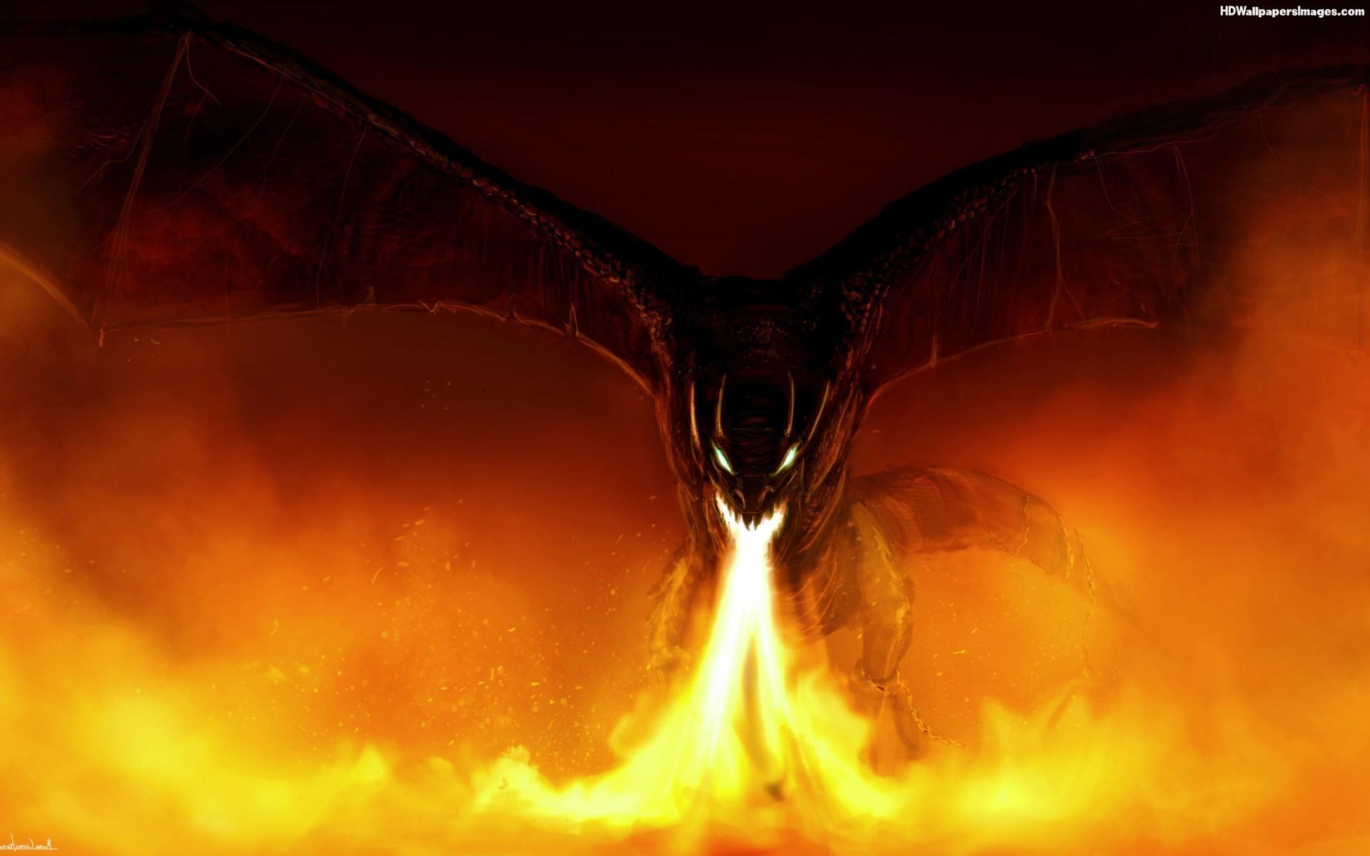 Fire And Dragon Wallpapers - Wallpaper Cave