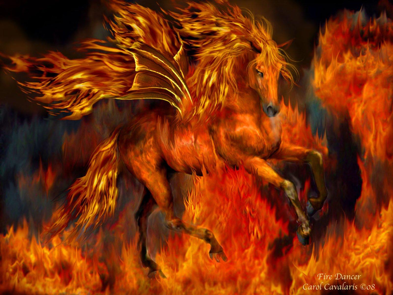 Fire Dance Wallpaper and Background Imagex1200