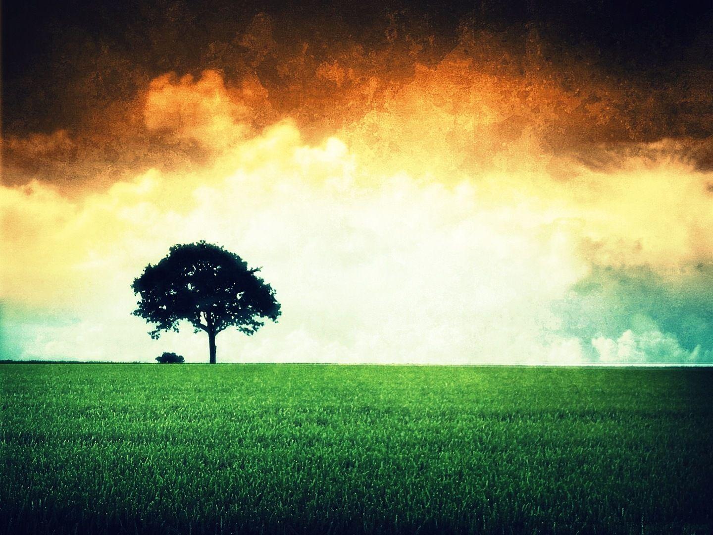 Indian Flag Landscape. India. Indian flag, Indian