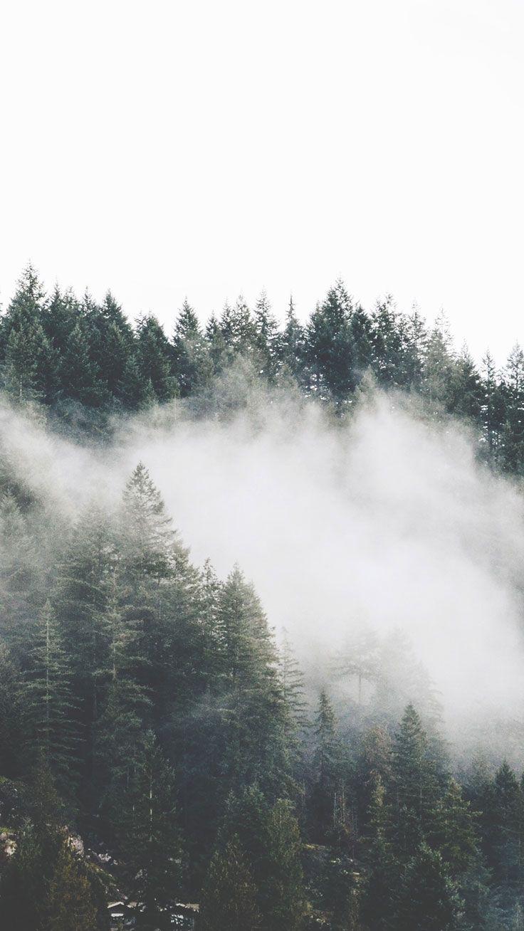 Adventurous Forest & Mountain iPhone 7 Wallpaper