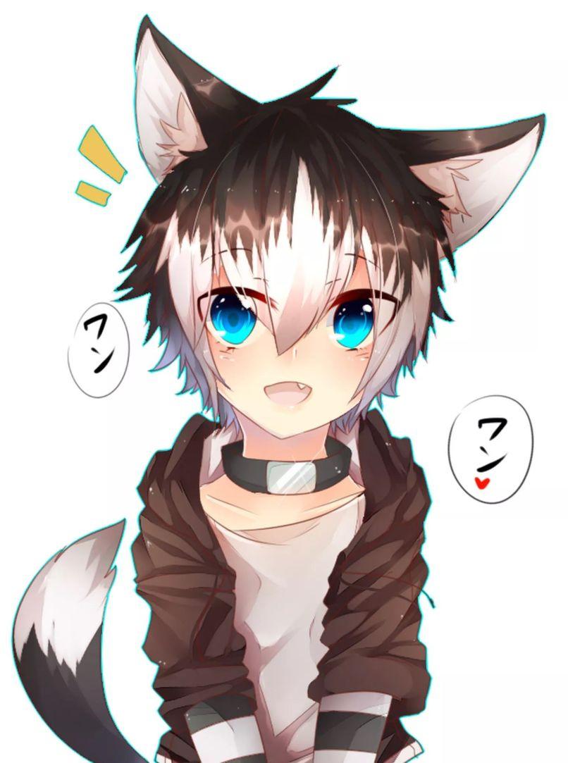 image Of Anime Wolf Boy