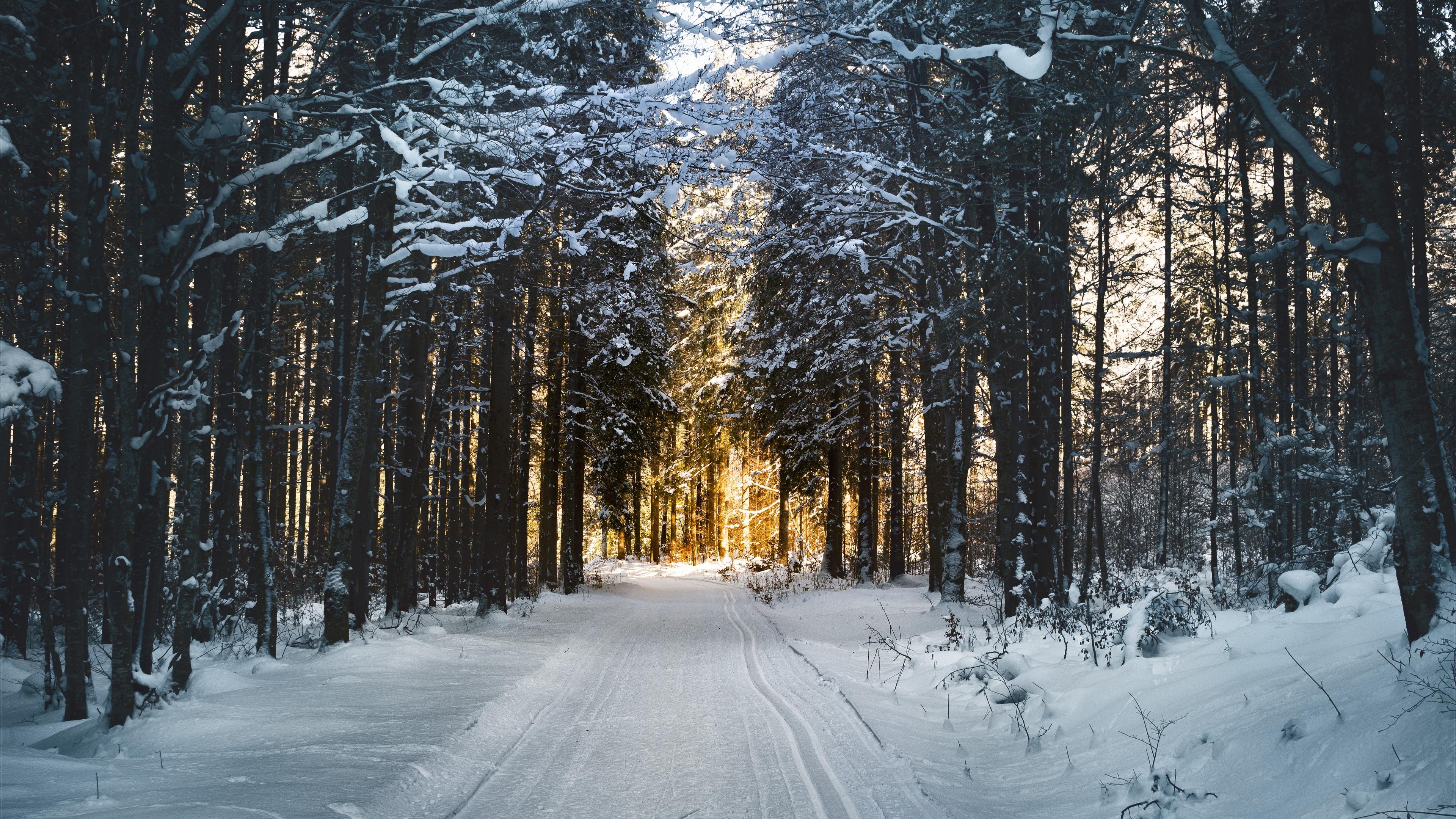 Download wallpaper 3840x2160 winter, snow, road, trees 4k