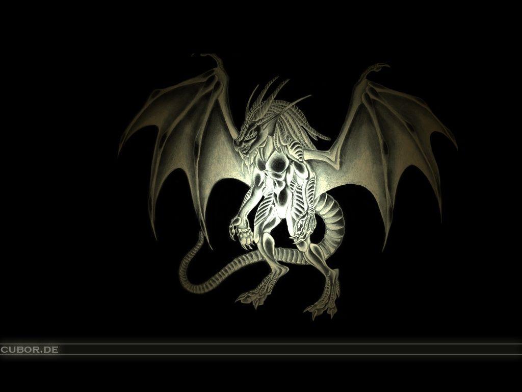 Dragon Wallpaper in HD HD Wallpaper