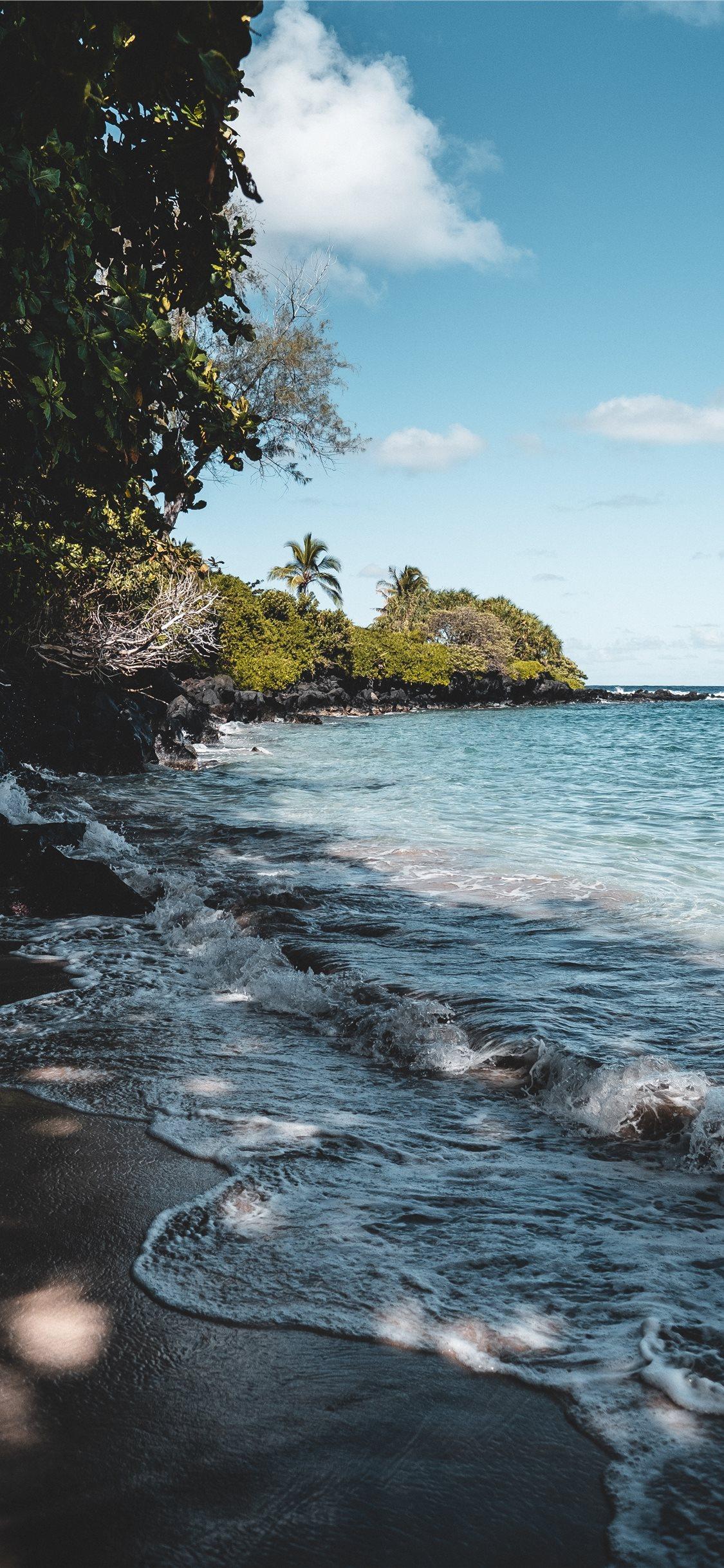 Tropical afternoon in beautiful Maui Hawaii iPhone X