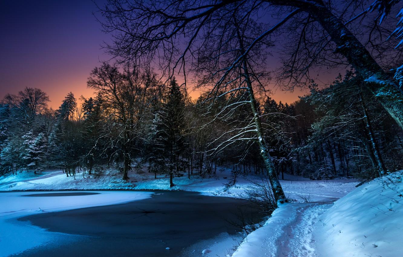 Wallpaper winter, snow, trees, night, pond, Park, path