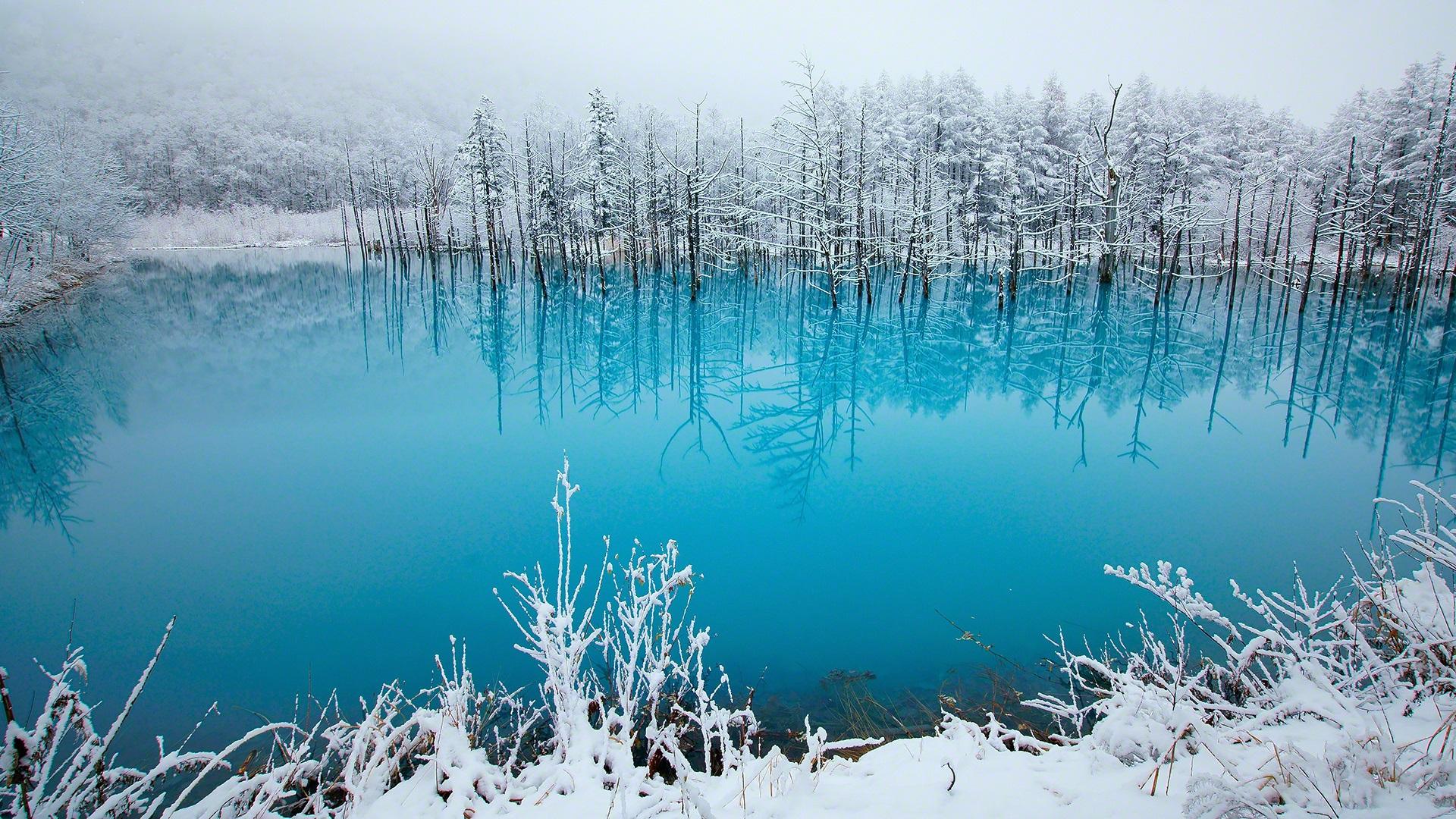 Wallpaper Japan, Hokkaido, blue pond, trees, snow, winter