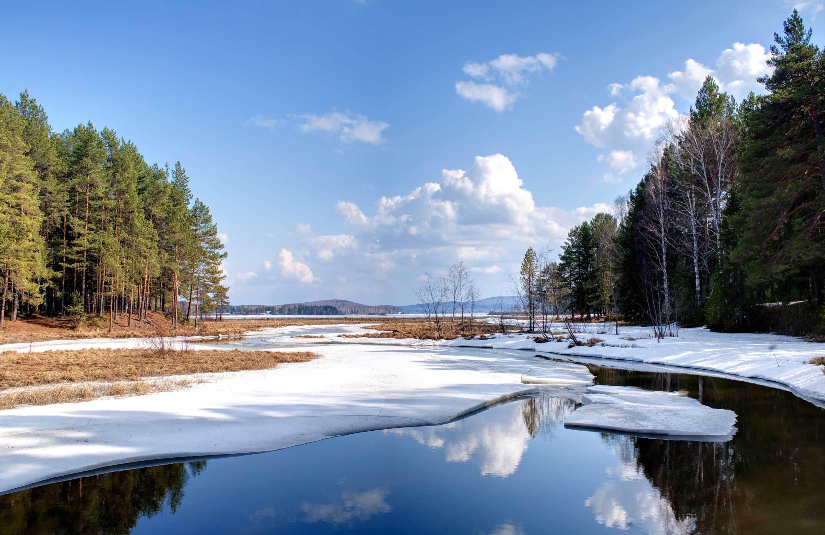 Nature Landscape Winter Pond Lake Snow Water Forest Trees