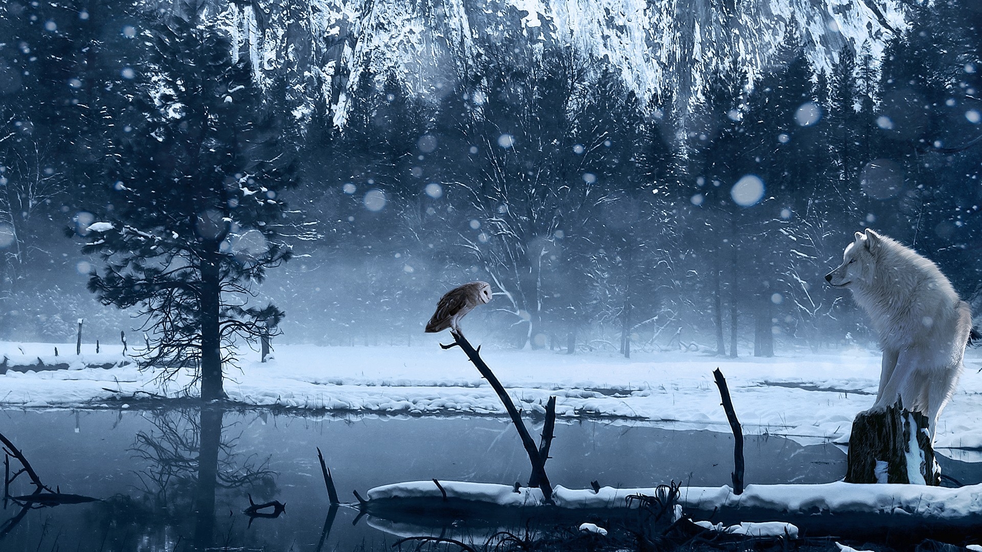 winter snow trees animals pond owls wolves 1920x1080