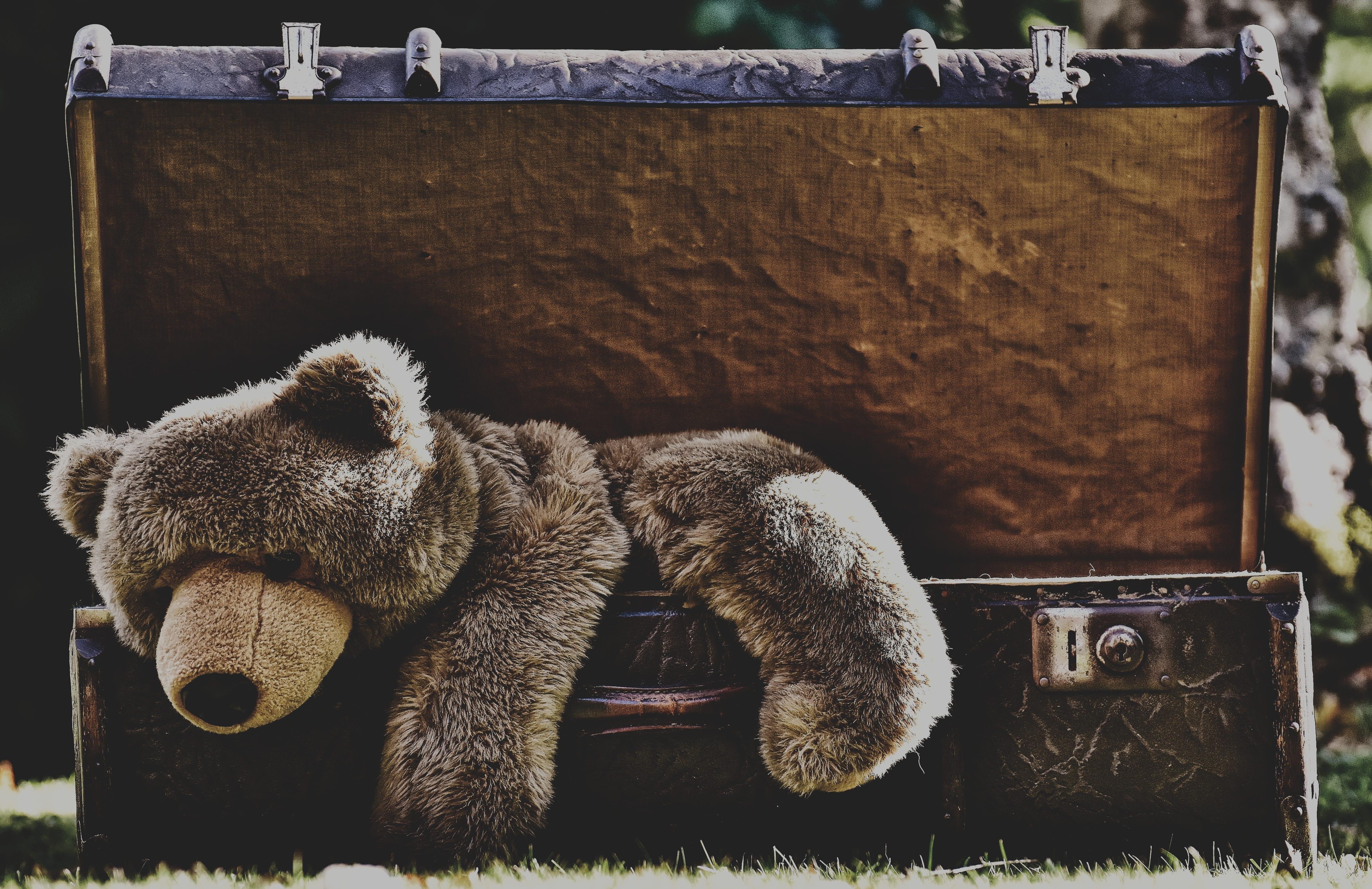 Wallpaper of Stuffed Animal, Suitcase, Teddy Bear background
