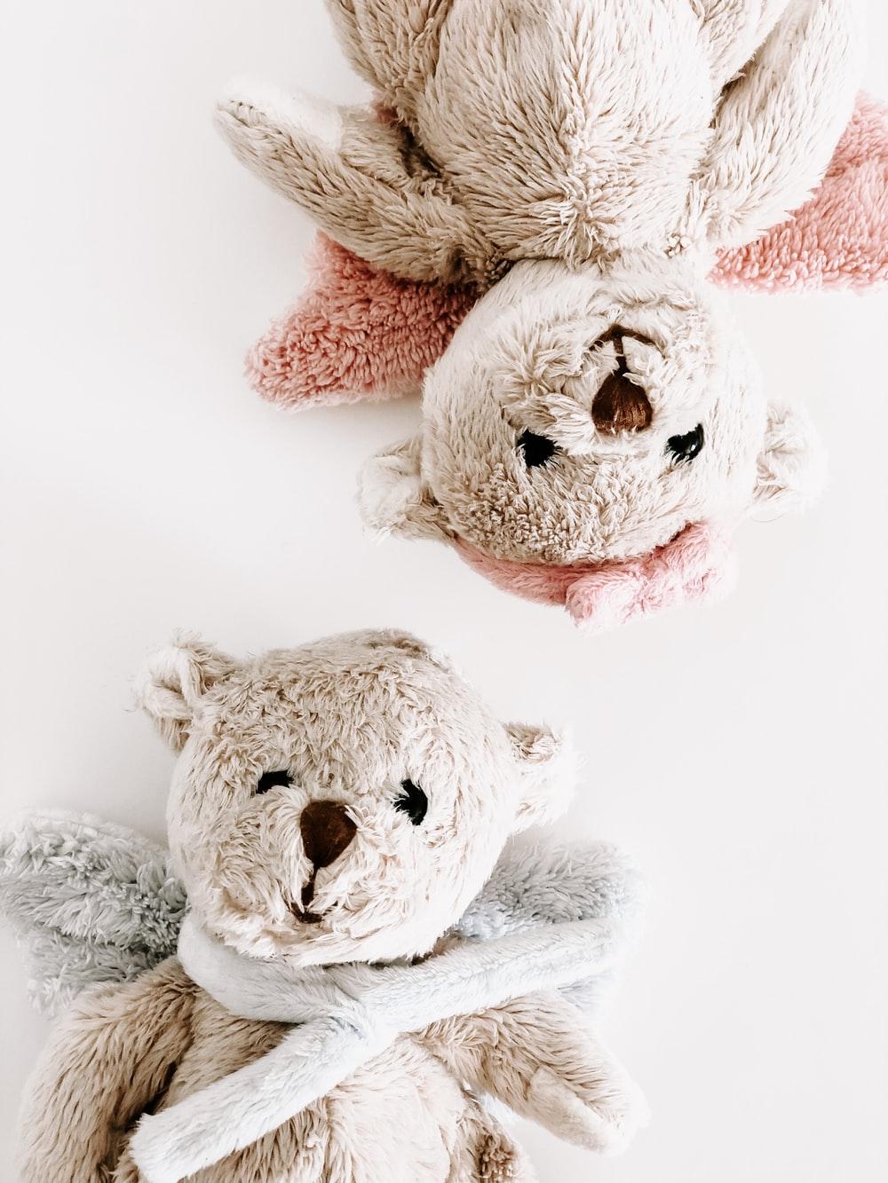 Teddy Picture. Download Free Image